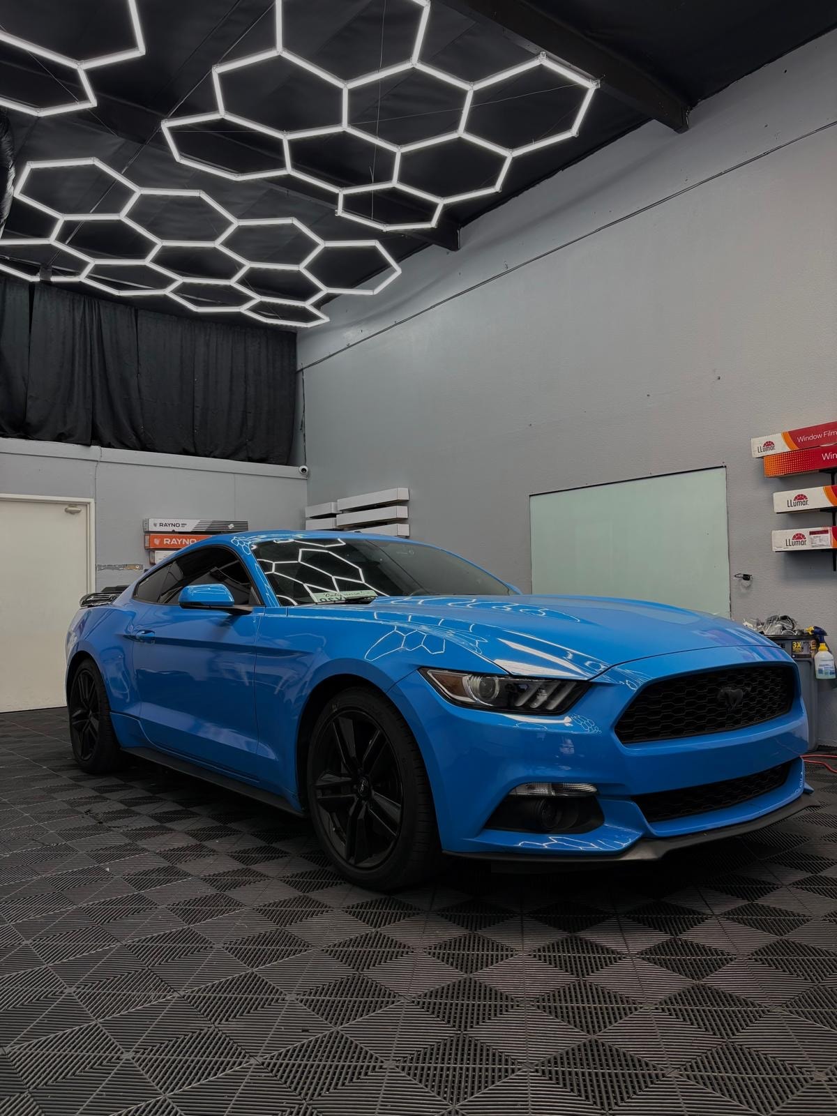 Ford Mustang — Window Tint