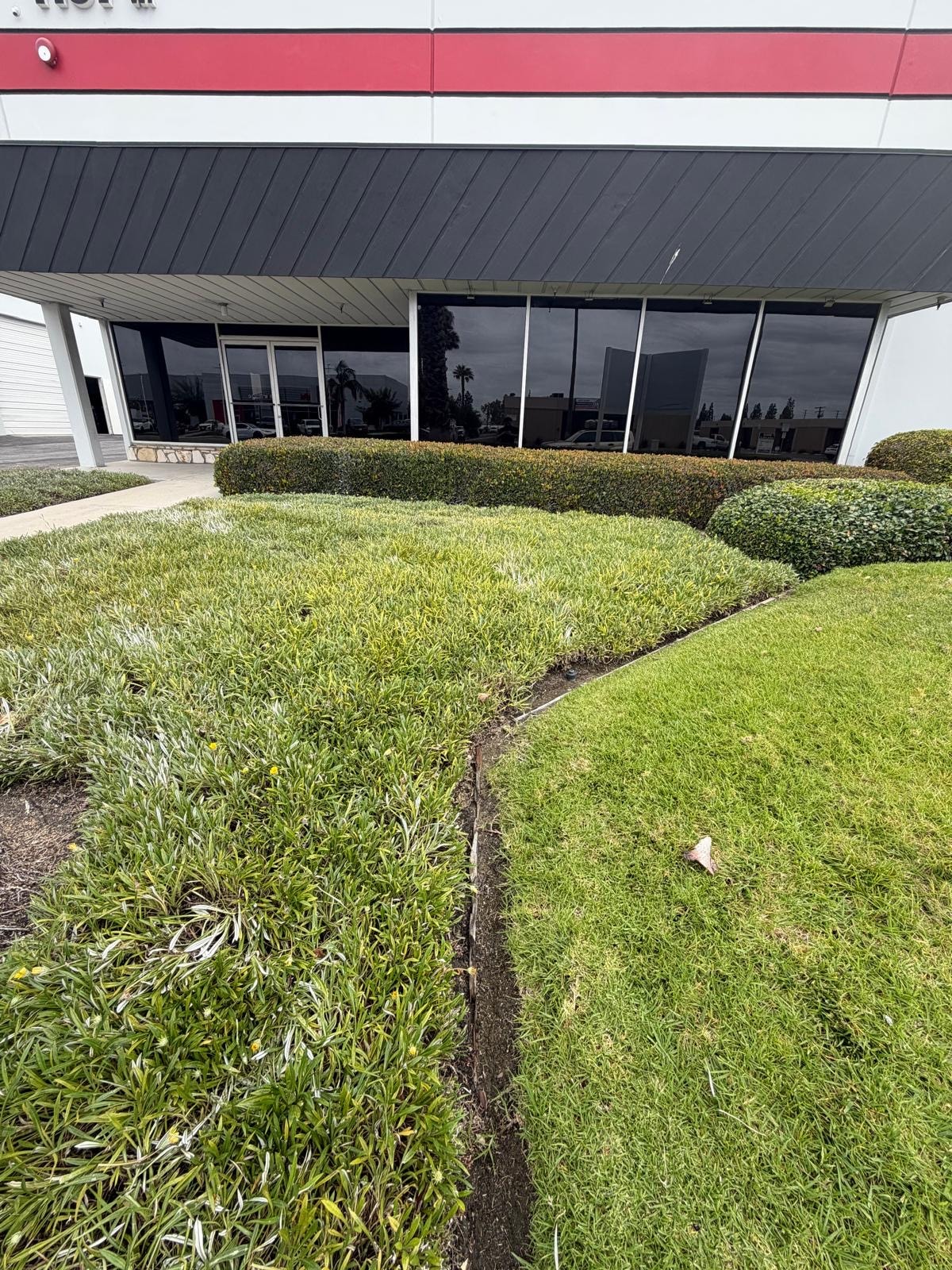 Commercial building exterior with reflective tinted windows
